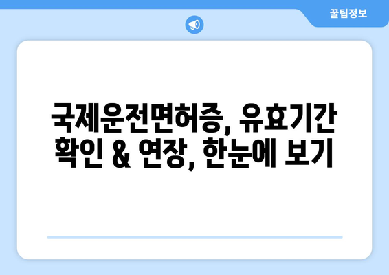 국제운전면허증 유효기간 확인 및 연장 방법 안내