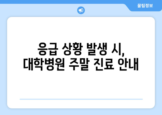 대학병원 주말 진료 가능한 곳, 신속하게 확인하는 법