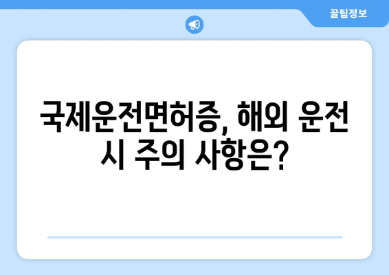 국제운전면허증 발급 소요 시간과 유효기간 연장 방법