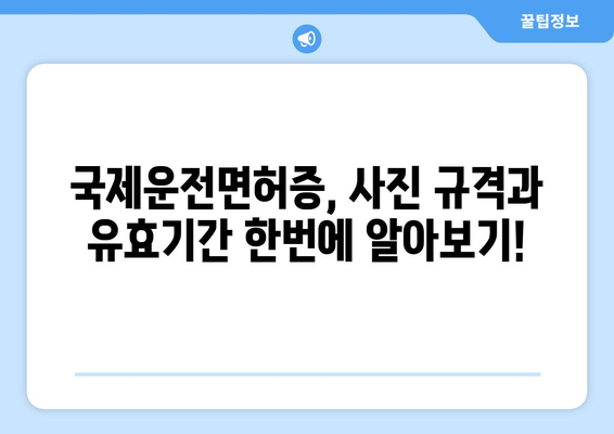 국제운전면허증 사진 규격과 유효기간 확인하는 법