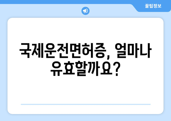 국제운전면허증 사진 규격과 유효기간 확인하는 법