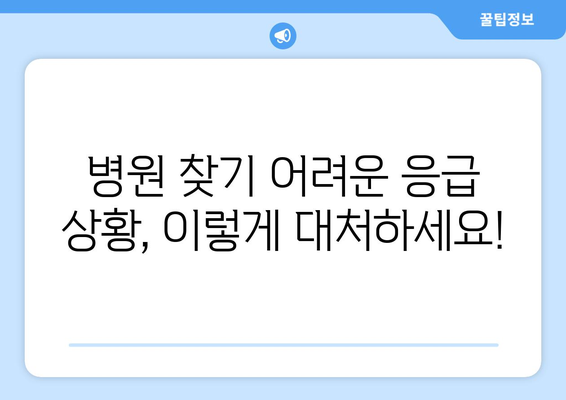 응급 상황 시 필요한 병원 찾기, 뺑뺑이 방지 꿀팁