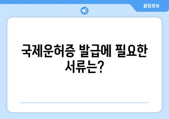 국제운전면허증 발급 방법, 온라인과 오프라인 차이점