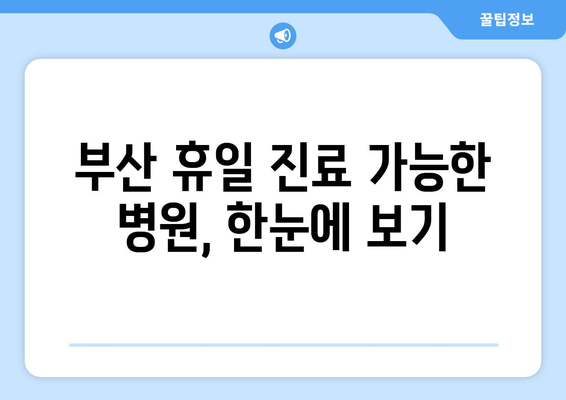 부산에서 휴일 병원 진료 가능한 곳 찾기