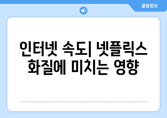 최적의 화질로 넷플릭스 즐기는 방법