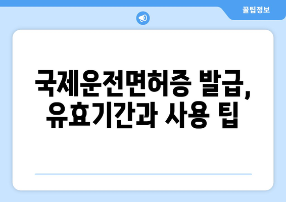 국제운전면허증 발급 준비물과 신청 절차, 간편 가이드