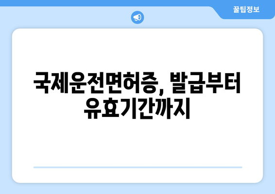 국제운전면허증 발급 방법과 소요 시간, 최신 정보