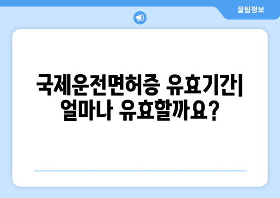 국제운전면허증 발급 유효기간 연장 및 발급 방법