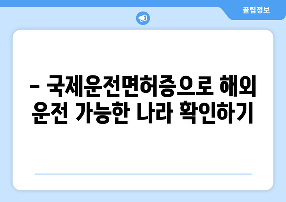 국제운전면허증 발급 시 준비물과 발급 절차