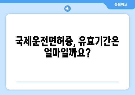 국제운전면허증 발급 소요 시간 및 절차, 최신 정보 확인