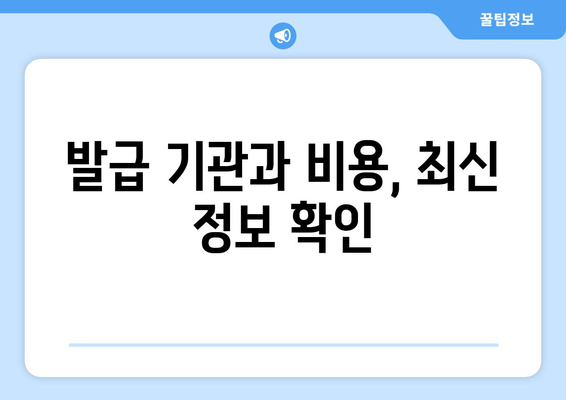 국제운전면허증 발급 소요 시간 및 절차, 최신 정보 확인