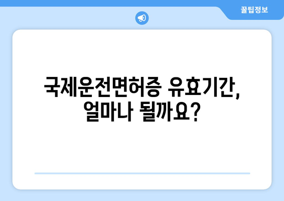 국제운전면허증 발급 유효기간 확인 및 발급 절차 안내