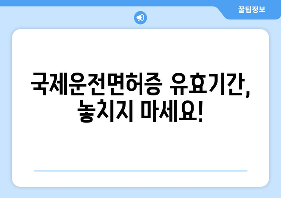 국제운전면허증 사진 규격과 유효기간 확인하는 법