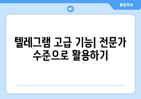 텔레그램 사용법: 초보자부터 전문가까지