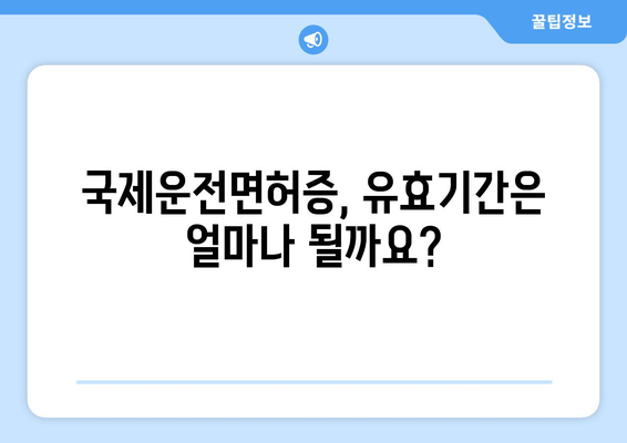 국제운전면허증 발급 소요 시간과 발급 절차, 최신 가이드