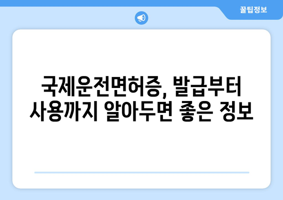 국제운전면허증 발급 절차와 유효기간 확인, 최신 가이드