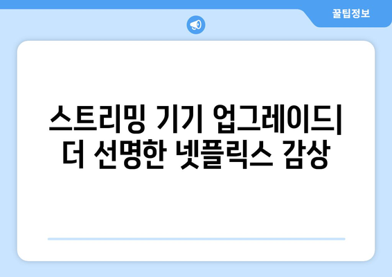 최적의 화질로 넷플릭스 즐기는 방법