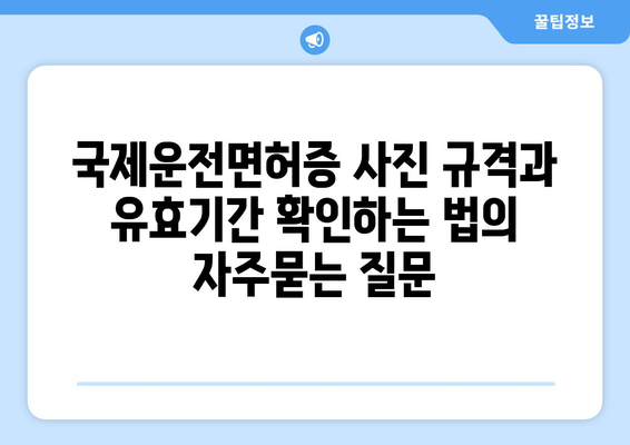 국제운전면허증 사진 규격과 유효기간 확인하는 법