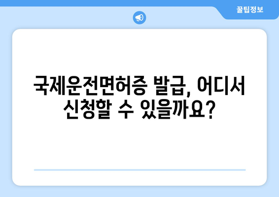 국제운전면허증 발급 유효기간 확인 및 발급 방법 안내