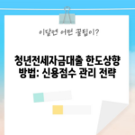 청년전세자금대출 한도상향 방법: 신용점수 관리 전략