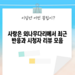 사랑은 외나무다리에서 최근 반응과 시청자 리뷰 모음