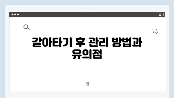 [상세가이드] 청년전세대출 갈아타기 성공 노하우