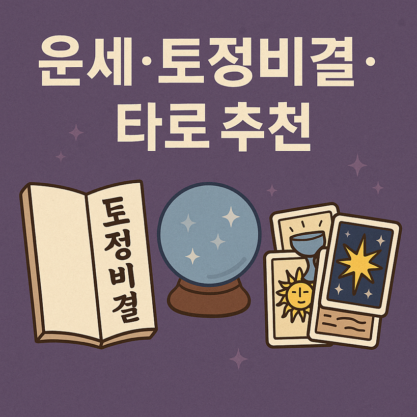 운세 토정비결 타로