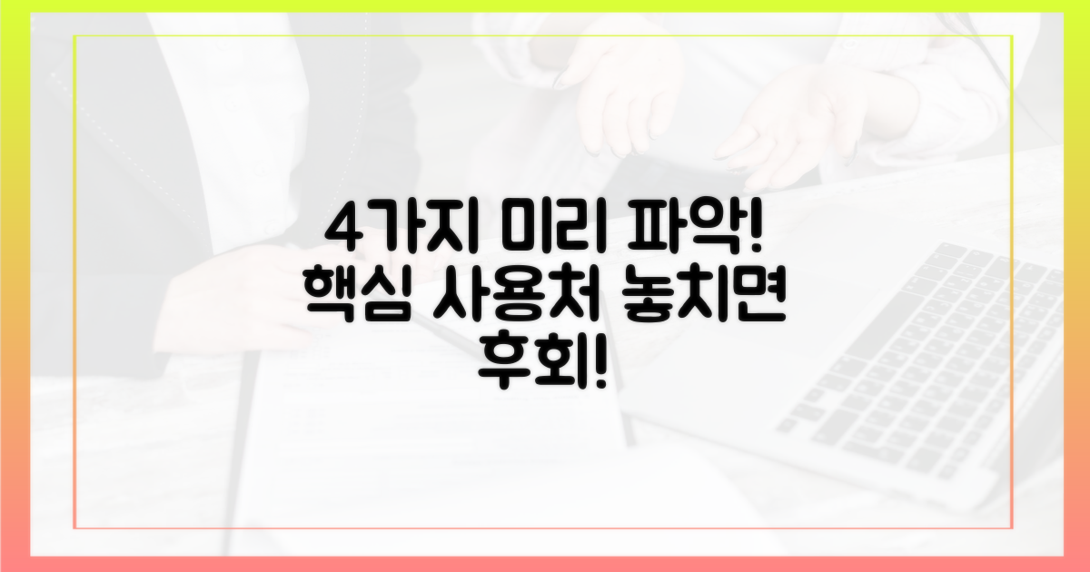 4가지 사용처 미리 파악