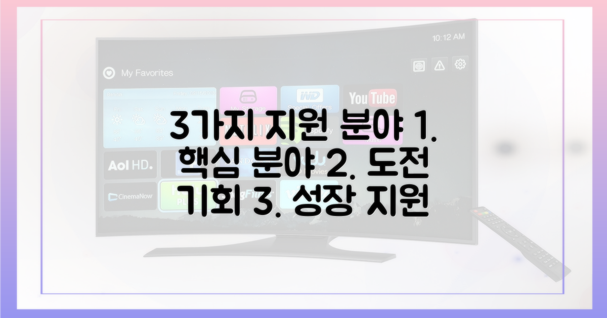3가지 지원 분야