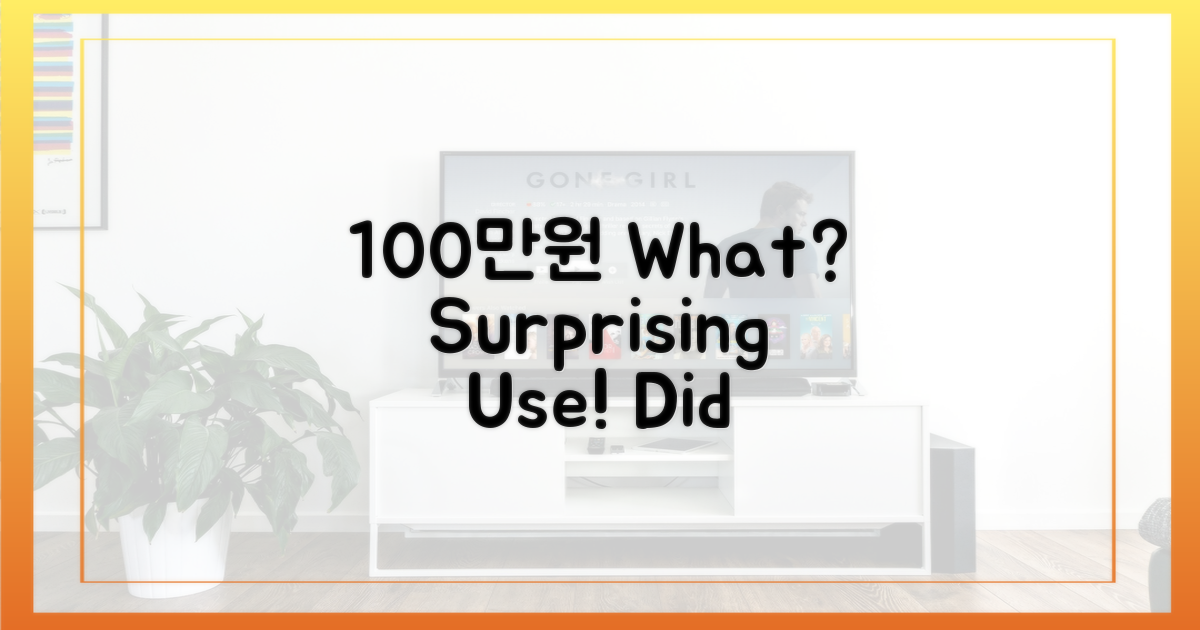100만원으로 뭘 했을까?