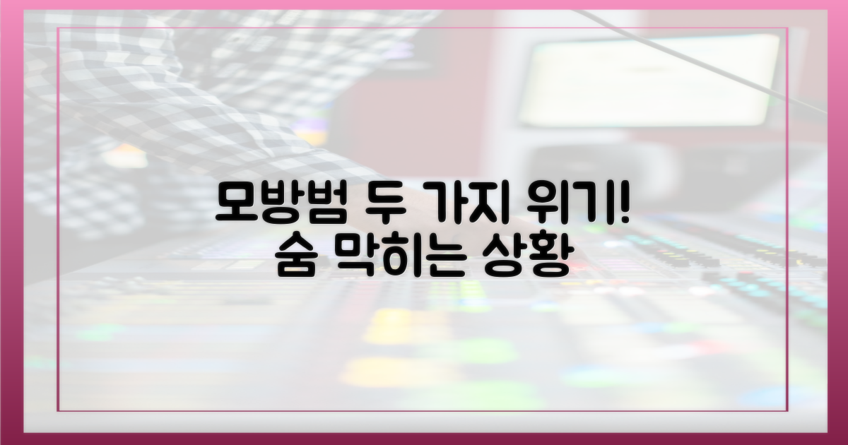 모방범, 2가지 위기 직면