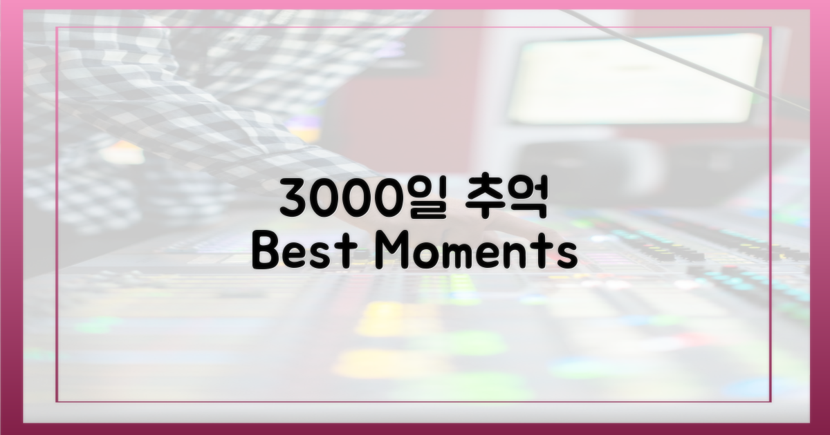 3000일의 추억