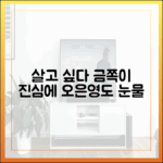 살고 싶다" 중2 금쪽, 오은영도 울린 충격 진심
