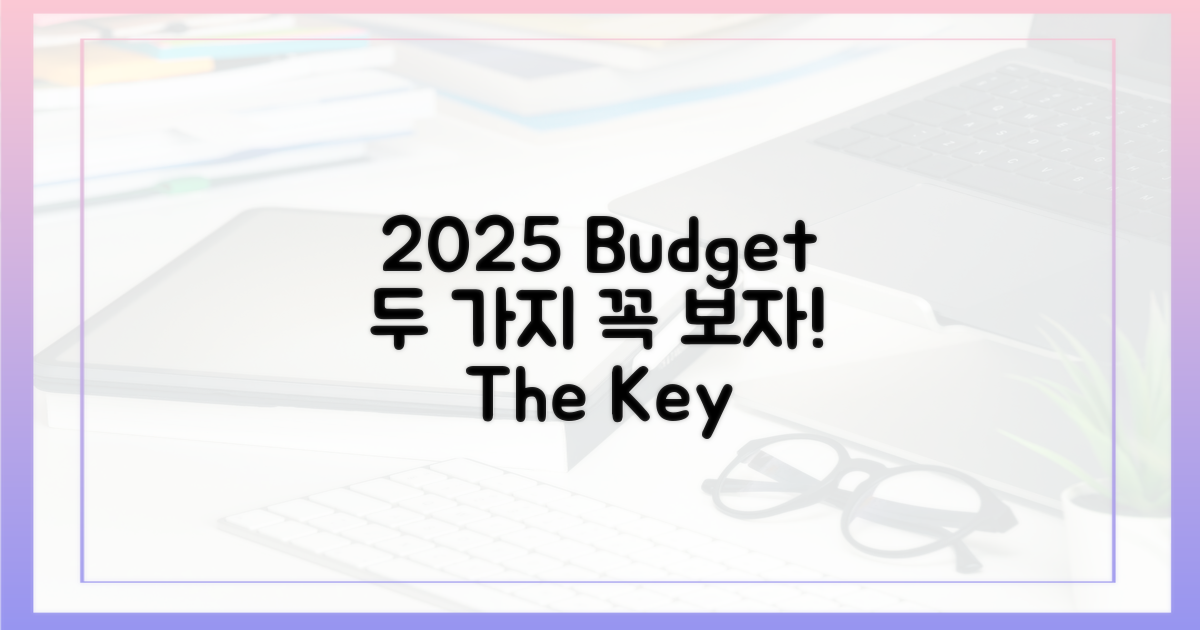 2025년 예산 2가지, 꼼꼼히 살펴보자