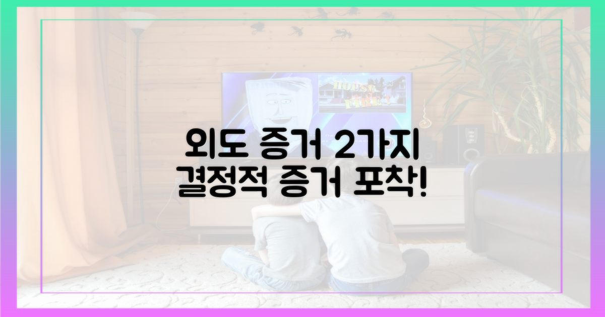 2가지 외도 증거