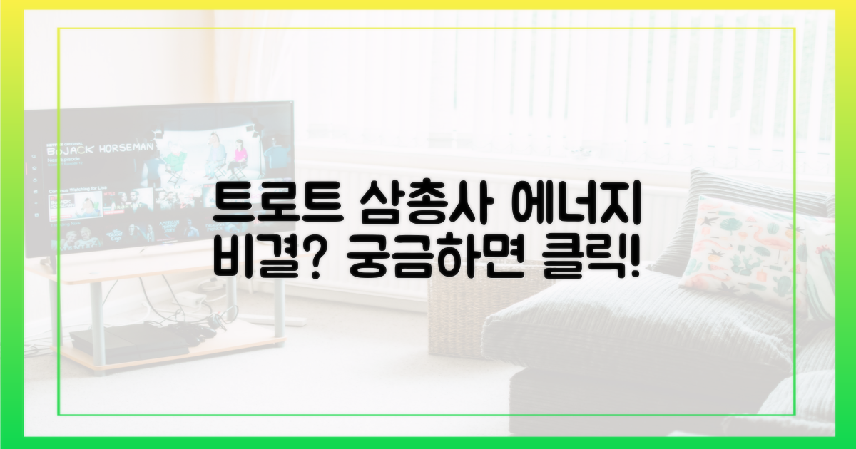 트로트 삼총사의 에너지, 뭘 담았나?