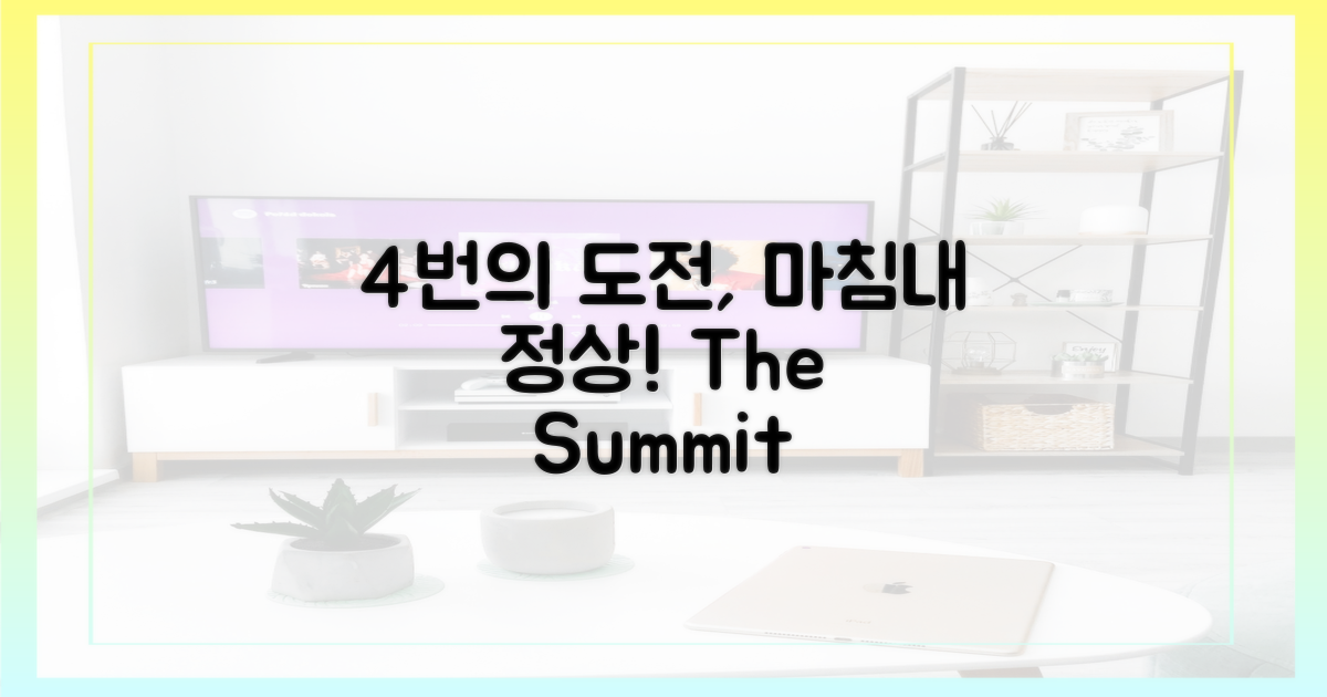 4번의 도전 끝 정상
