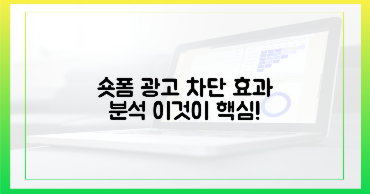 숏폼 광고, 차단 효과 분석