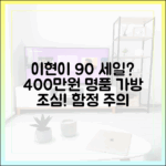 이현이 사기? 400만원 가방 90% 세일… 조심해야 할 함정