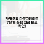실사용자 팁: 카카오톡 다운그레이드 7단계