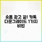 카카오톡 다운그레이드 1가지, 숏폼 광고 끝!