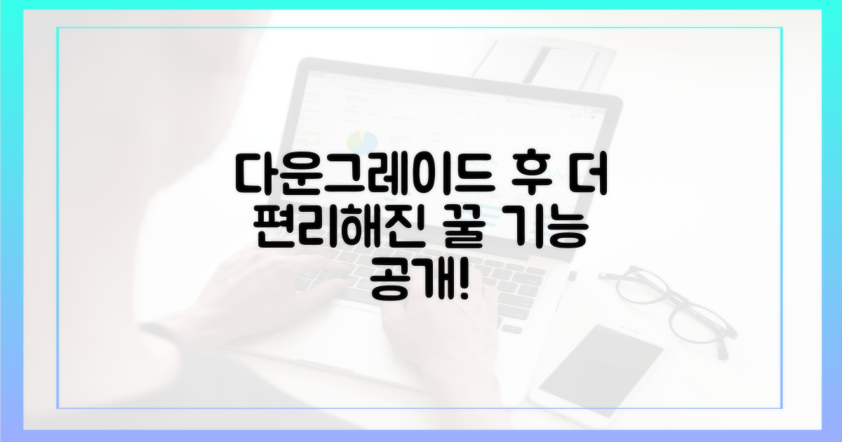 다운그레이드 후 편리한 기능