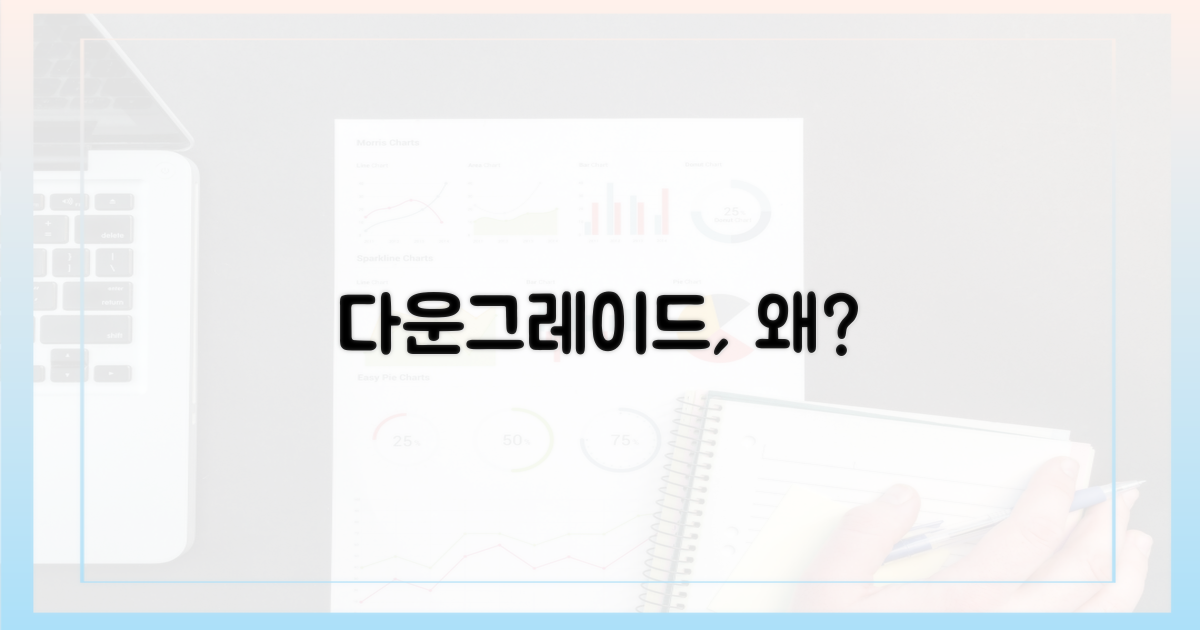 왜 다운그레이드해야 할까?