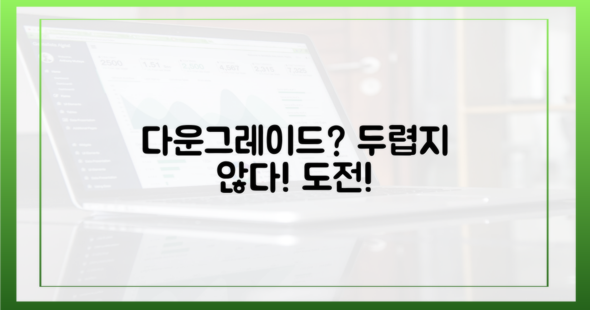 다운그레이드, 두렵지 않다