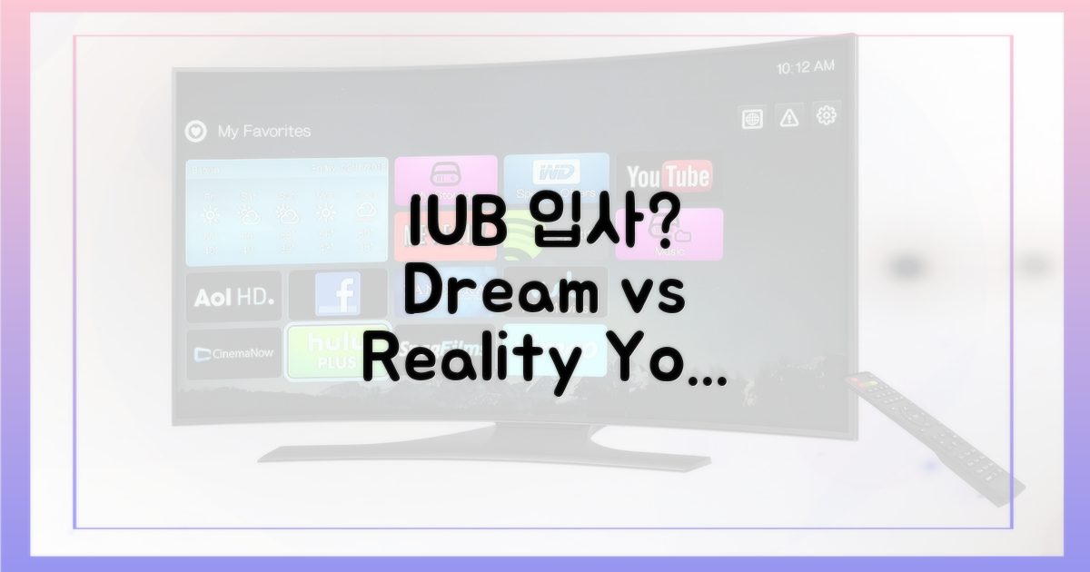 꿈과 현실, IUB 입사 가능성