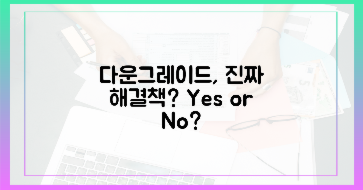 다운그레이드, 진정한 해결책이 될까?