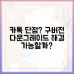 카카오톡 단점, 구버전 다운그레이드로 해결할 수 있을까?