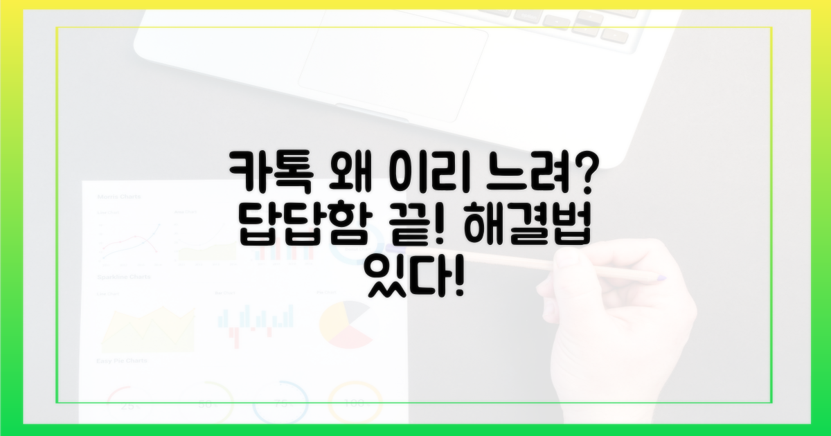왜 카톡이 느려졌을까?