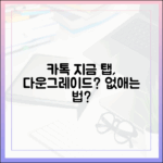 카톡 '지금' 탭, 다운그레이드로 없앨 수 있을까?