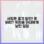 서장훈, 위자료 부부 아내에 일침 "못 버텨?